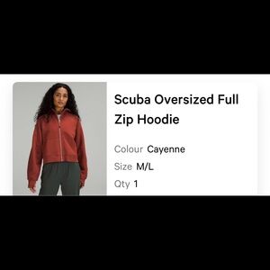 Scuba Oversized Zip Hoodie in Cayenne

Cropped